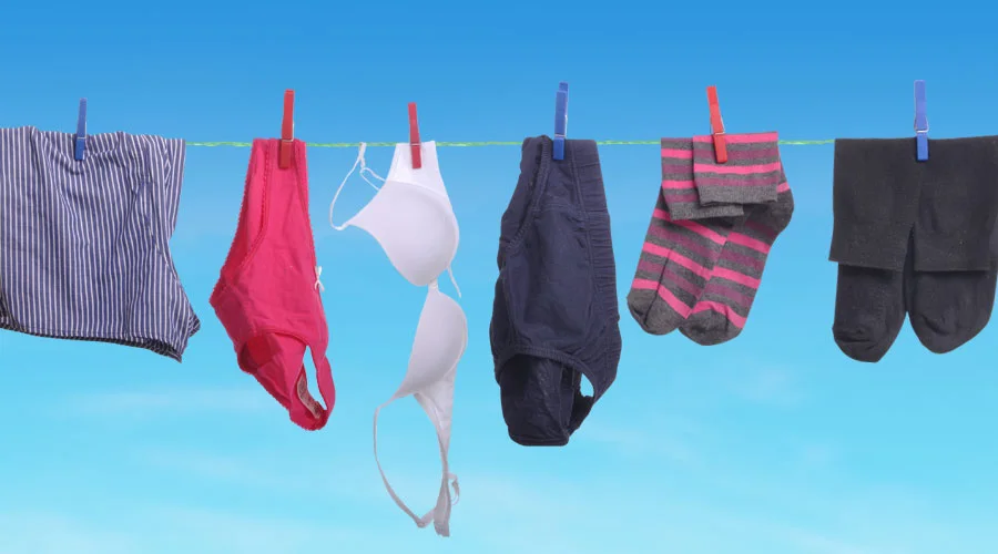 Ciclo Delicado (ou Roupas Íntimas)